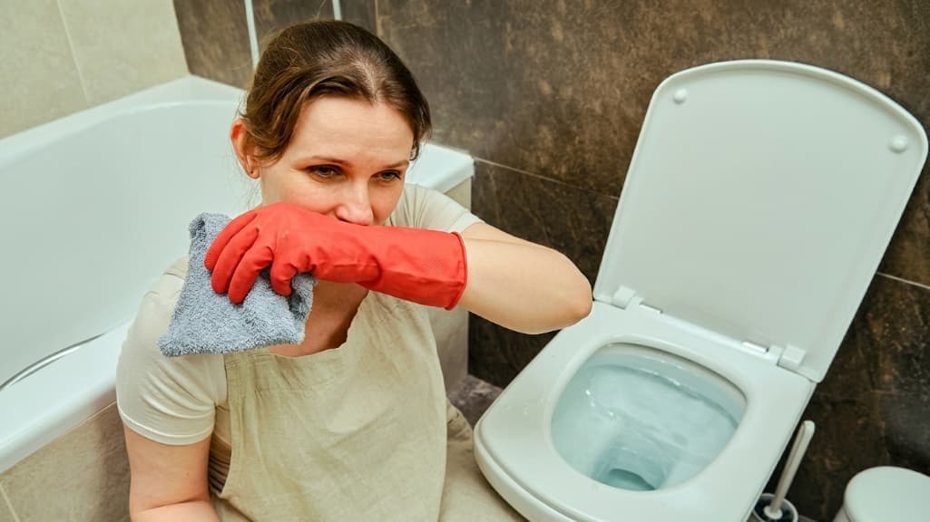 Cómo destapar un inodoro rebalsado en CABA y GBA